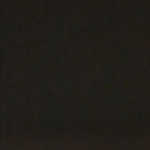 Meet your Posher, Letoya